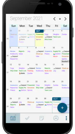 Pocket Informant screenshot