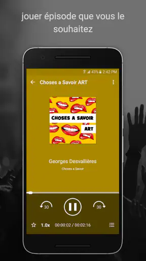 Podcast Radio Musique -Castbox screenshot