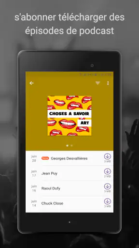 Podcast Radio Musique -Castbox screenshot