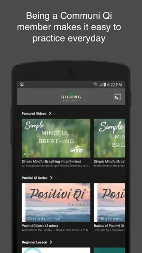 Qigong for Vitality screenshot