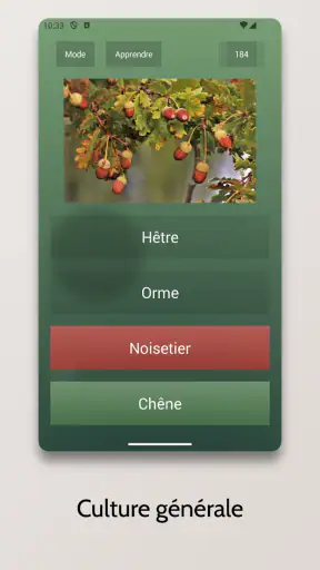 Quiz sans fin screenshot