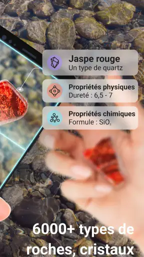 Rock Identifier: Roche, Pierre screenshot
