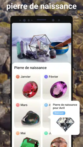 Rock Identifier: Roche, Pierre screenshot