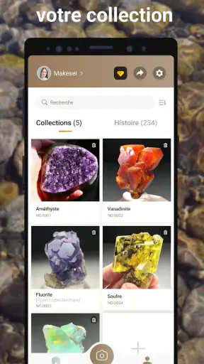 Rock Identifier: Roche, Pierre screenshot