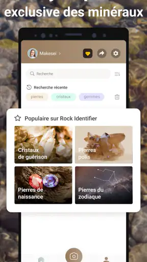 Rock Identifier: Roche, Pierre screenshot