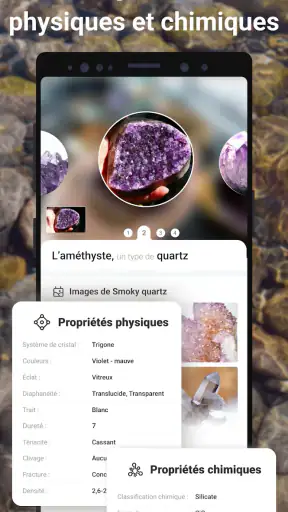 Rock Identifier: Roche, Pierre screenshot
