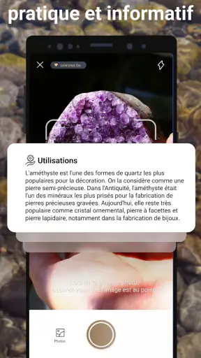 Rock Identifier: Roche, Pierre screenshot
