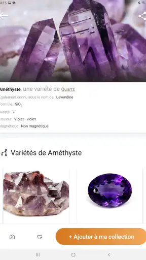 Rock Identifier: Roche, Pierre screenshot