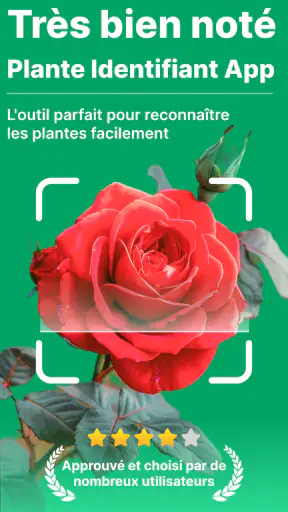 Scanner identifiant plante screenshot