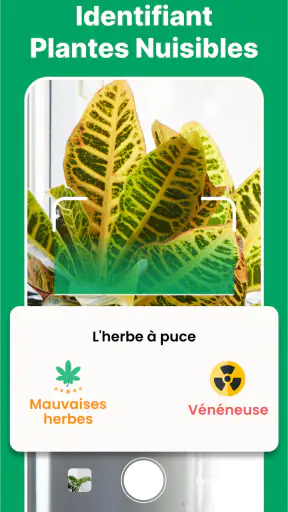 Scanner identifiant plante screenshot