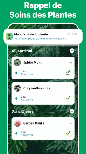 Scanner identifiant plante screenshot