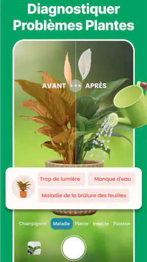 Scanner identifiant plante screenshot