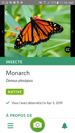 Seek par iNaturalist screenshot