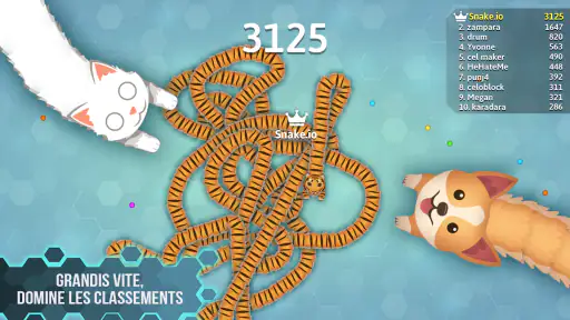 Snake.io - Jeu Serpent Fun .io screenshot
