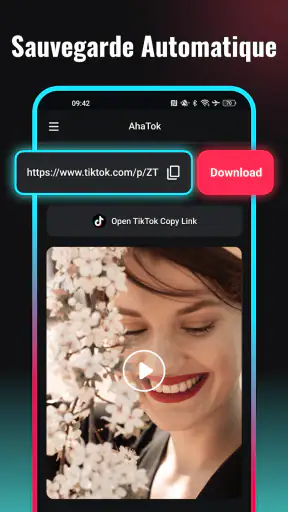 Snaptik - Telecharger Video TT screenshot