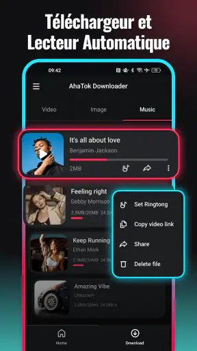 Snaptik - Telecharger Video TT screenshot