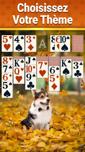 Solitaire Classique - 2025 screenshot