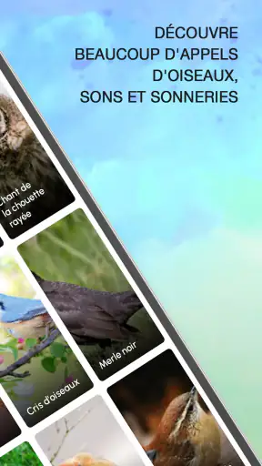 Sonneries Chants D'oiseaux screenshot