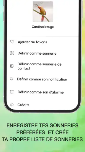 Sonneries Chants D'oiseaux screenshot