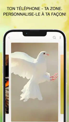 Sonneries Chants D'oiseaux screenshot