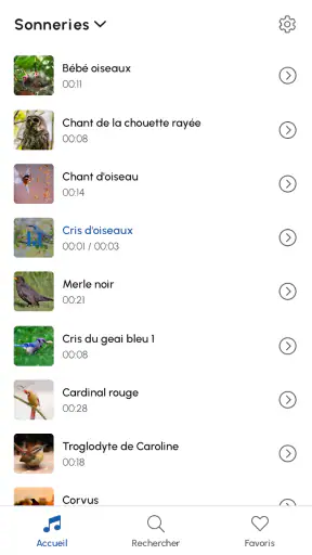 Sonneries Chants D'oiseaux screenshot