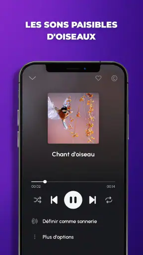 Sonneries de téléphone screenshot