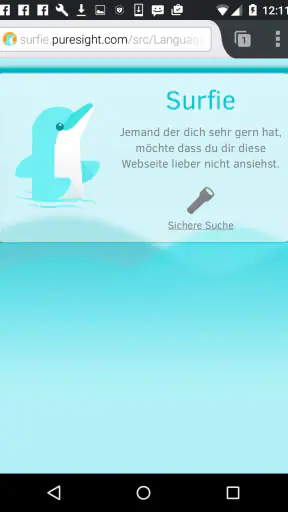 Surfie-Guard screenshot