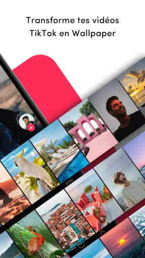 TickTock-TikTok Live Wallpaper screenshot
