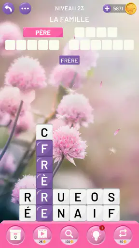 Tour des Mots: Mots Mêlés screenshot