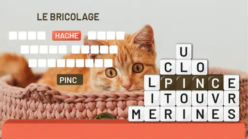 Tour des Mots: Mots Mêlés screenshot