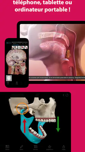 Visible Body Suite screenshot