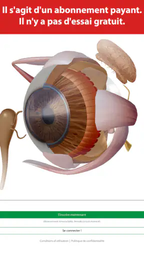 Visible Body Suite screenshot