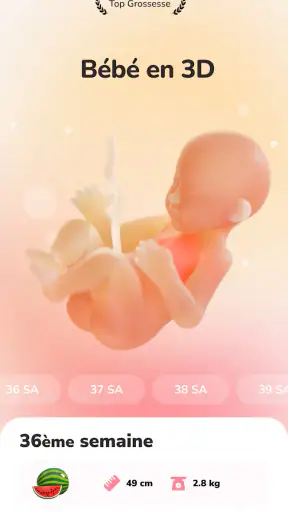 WeMoms - Grossesse, Maman screenshot