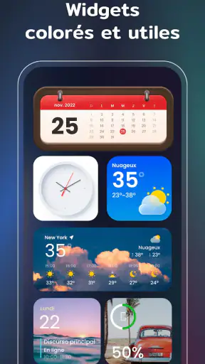 Widgets et Thèmes : iWidgets screenshot