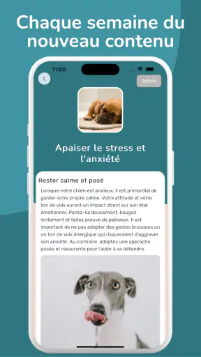 WoofLearn : Éducation du Chien screenshot