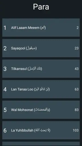 15 Lines Hefz/ Hafezi Quran screenshot