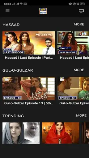 ARY DIGITAL screenshot