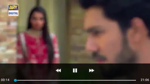 ARY DIGITAL screenshot