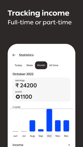 Borzo: Delivery Partner Job screenshot
