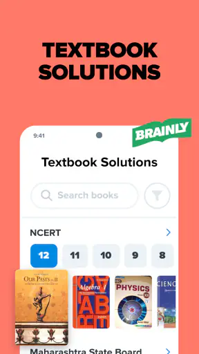 Brainly-Scan & Solve Study App screenshot