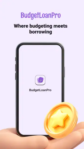 BudgetLoanPro screenshot