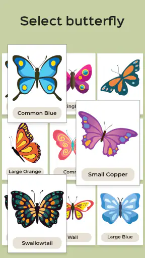 Butterfly Draw Step by Step screenshot