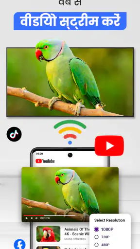 Cast for Chromecast & TV Cast screenshot