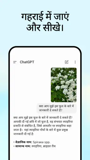 ChatGPT screenshot