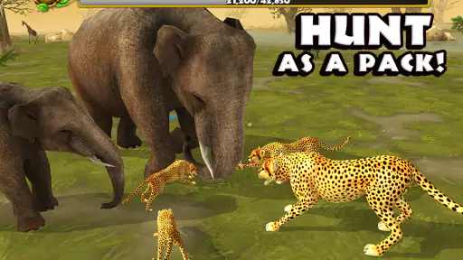 Cheetah Simulator screenshot
