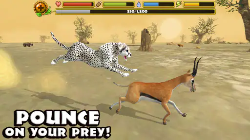 Cheetah Simulator screenshot