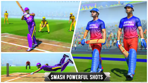 Cricket Game 3D: Bat Ball Game screenshot