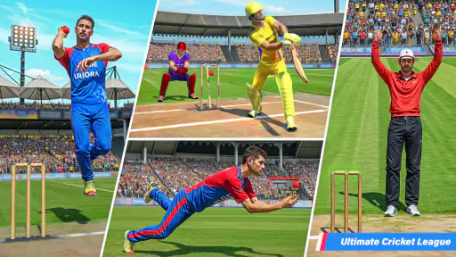 Cricket Game 3D: Bat Ball Game screenshot