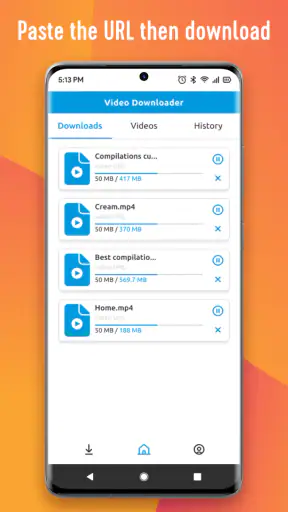 Download & Player screenshot