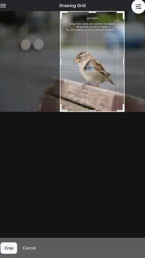 Drawing Grid screenshot